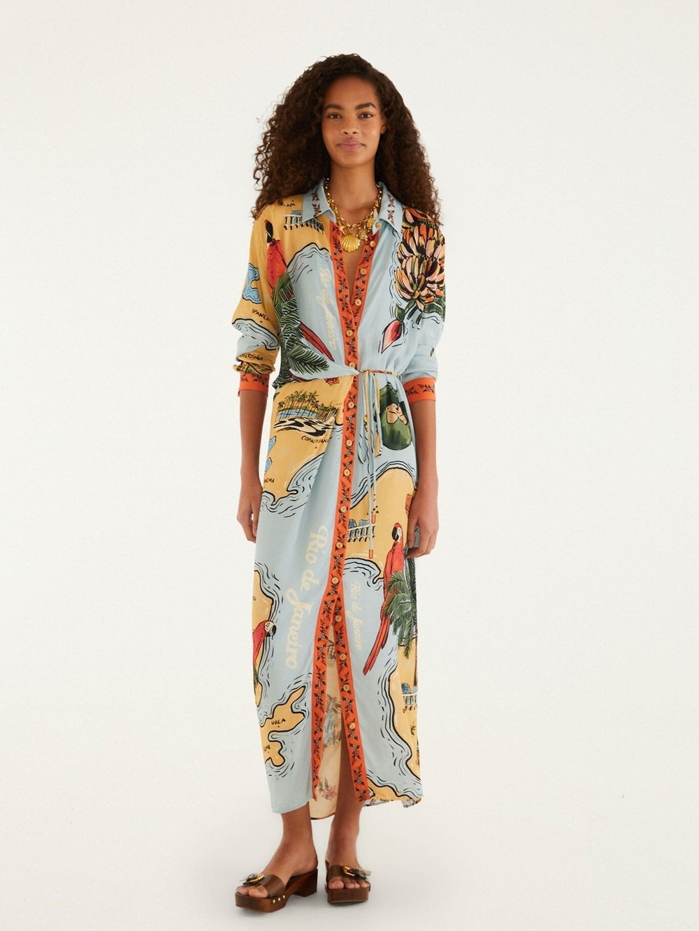 Multicolor Beaches Path Collared Buttoned Maxi Dress